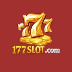 177 Slot Game